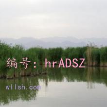 ǰ