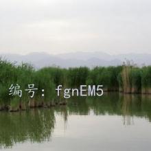 ǰ